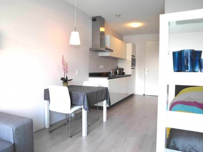 Stimulering kleine vrije sector huurwoningen Stimulering kleine vrije sector huurwoningen